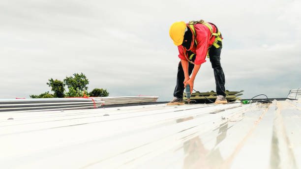 Best Chimney Flashing Repair  in Greenhills, OH